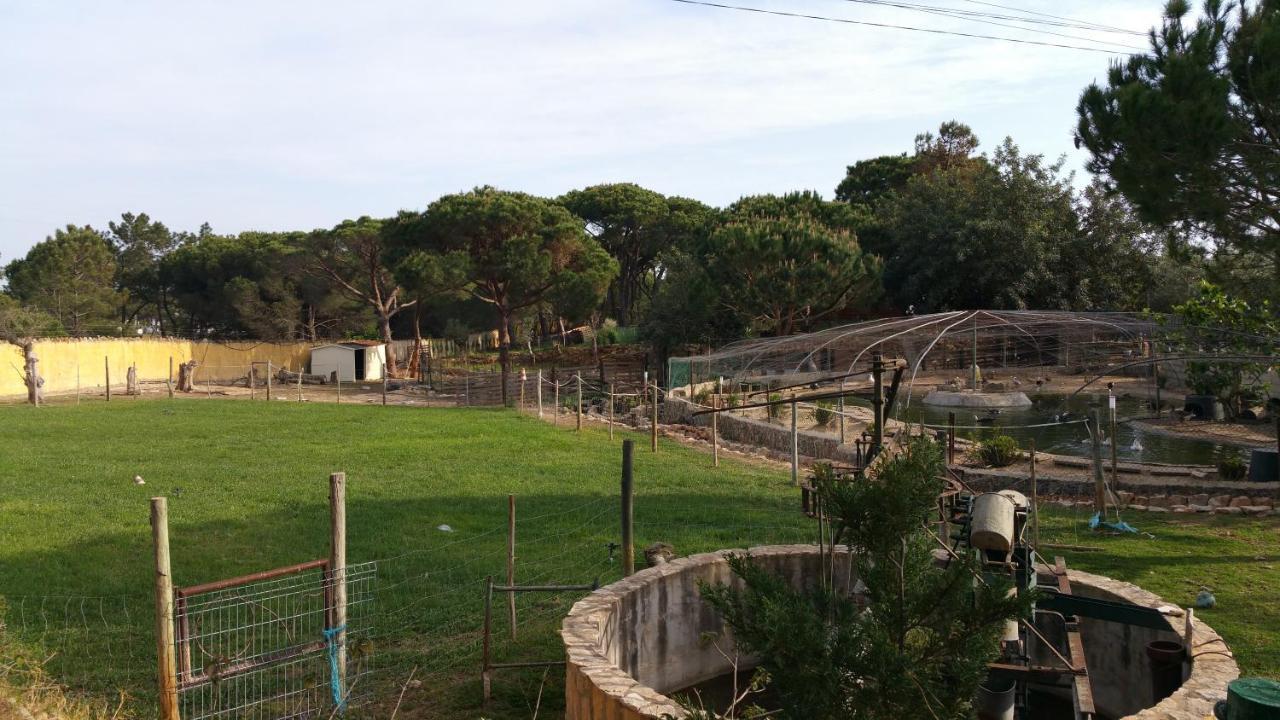 Quinta Vita - Vila Pera Almancil Exterior foto